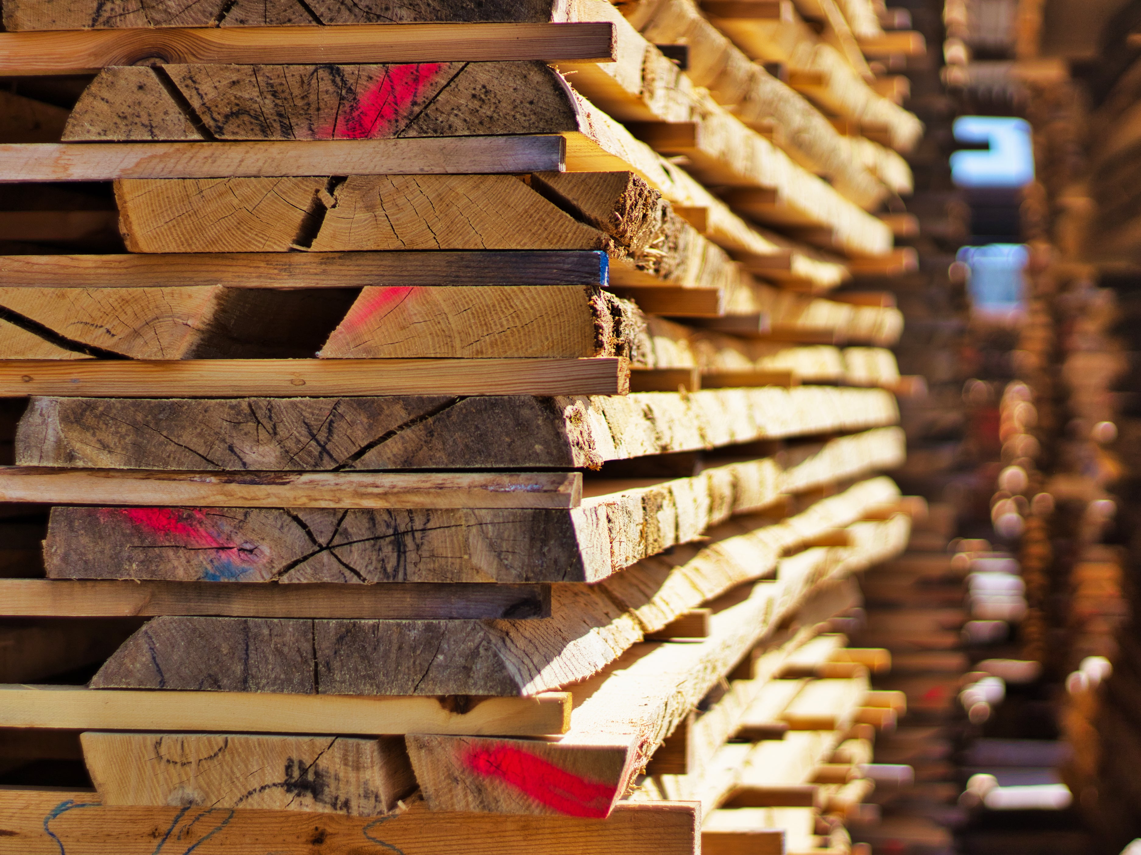 Zwischen den Schnitthölzern werden Latten gelegt um eine ausreichende Belüftung des Holzes sicherzustellen